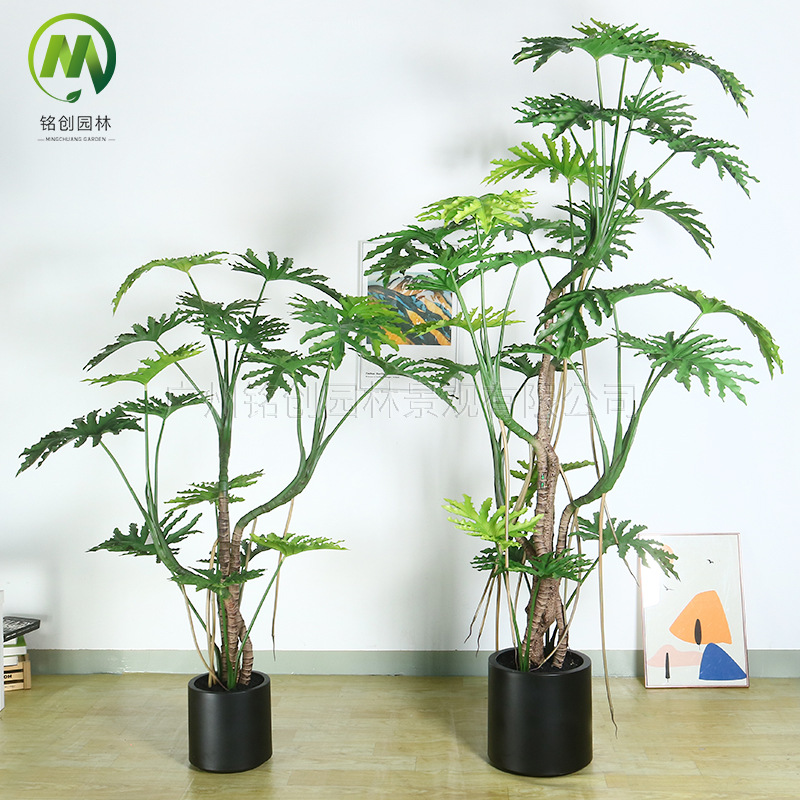 Simulación de interior Planta verde Simulación de plantación de disco Escala de dragón Taro de primavera Sala de estar Balcón Simulación Planta verde falsa Oficina Bonsai