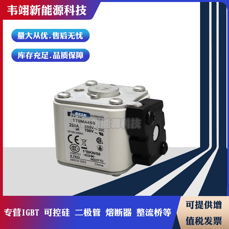 巴斯曼进口熔断器170M4493 170M4494 170M4495 170M4496 170M4497