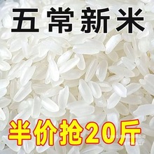 五常稻香米年新米五常大米斤斤特产东北大米好吃不贵