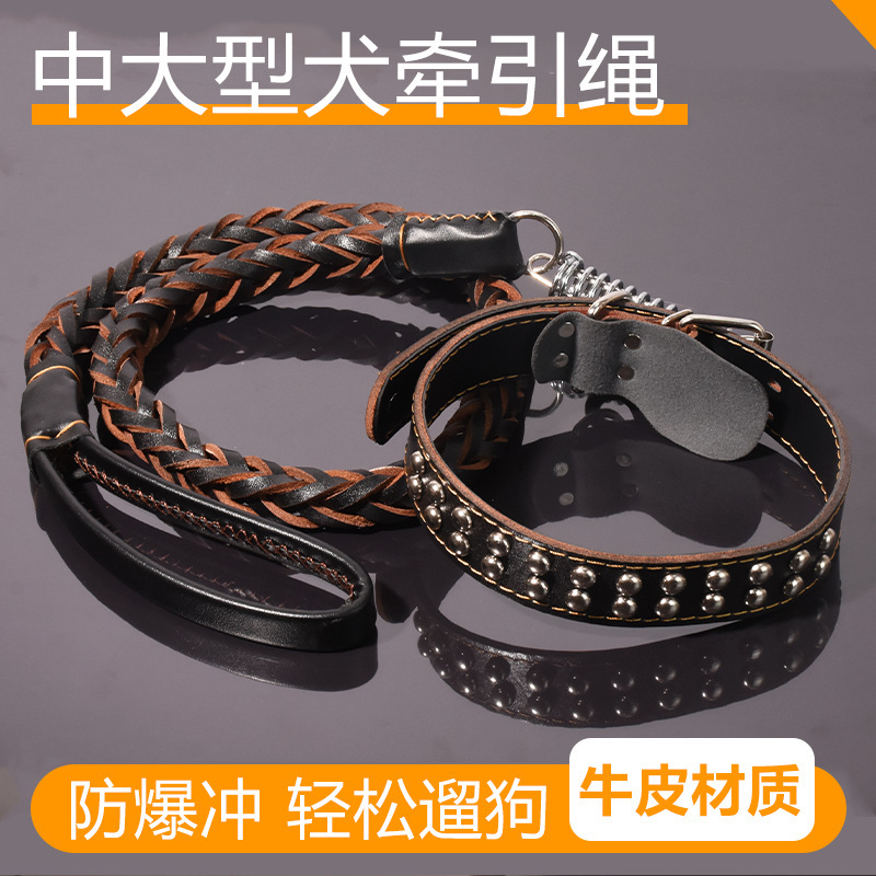 Medium-sized large dog dog leash cowhide dog chain golden retriever German shepherd explosion-proof walking dog rope collar supplies