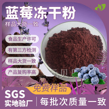 工厂直供蓝莓粉食品级散装蓝莓冻干粉现货原料批发蓝莓提取物包邮