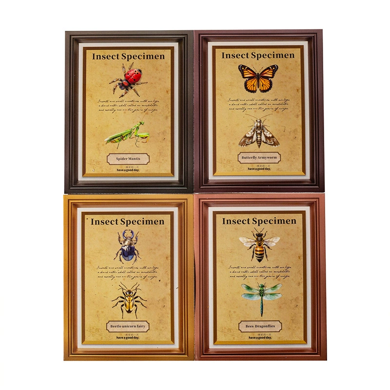 Good day Insect specimen illustration series, insect theme scene collage material, 4 types of PET stickers