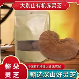 灵芝;天麻;盆景
