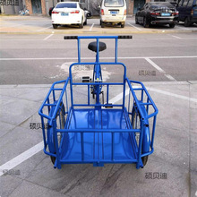 卖货三轮车欧款接送老人其他儿童倒骑驴代步运输摆摊网红脚蹬货物