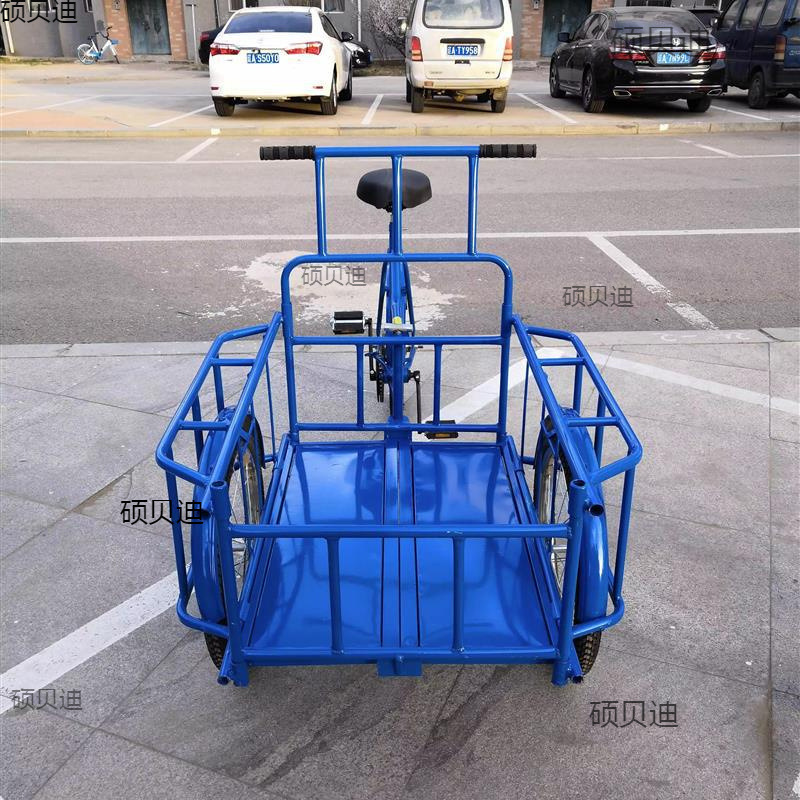卖货三轮车欧款接送老人其他儿童倒骑驴代步运输摆摊网红脚蹬货物