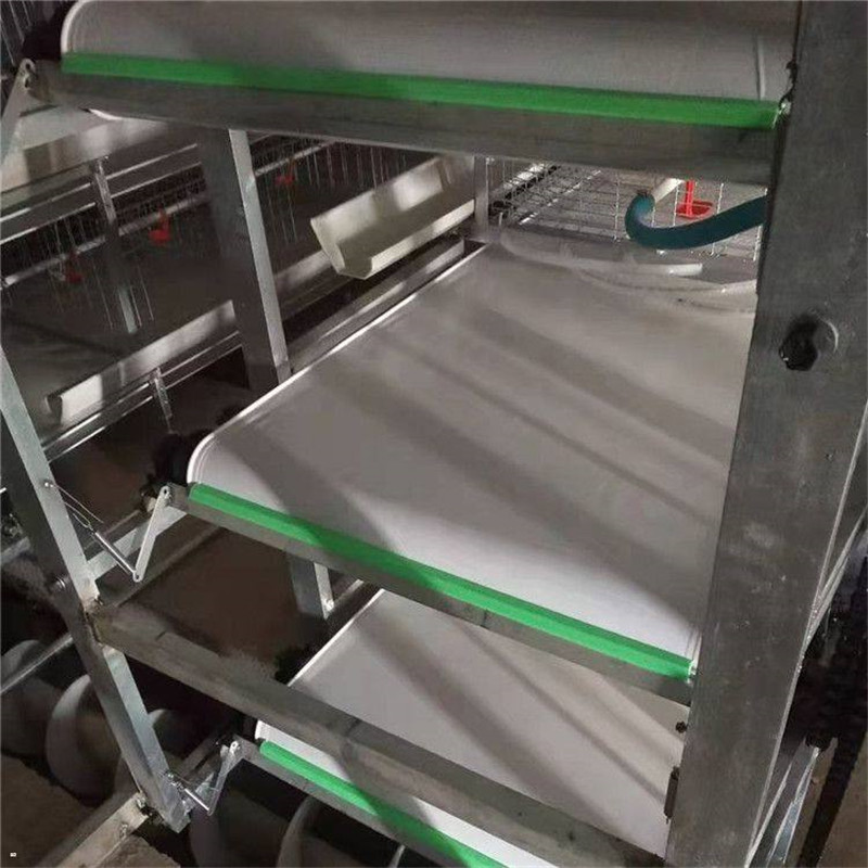 养殖场刮粪板 清粪带刮粪条 清粪机配件 PP材质 高耐磨 安装简单