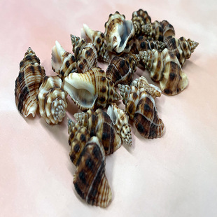 ��Ȼ����ؐ��ë�������l�~���쾰�ֹ�DIY΢���^���ϼľ�з��Q