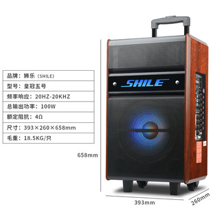 Lion Music Square Dance Audio Outdoor Rod Speaker Portable Wooden Battery Bluetooth Move Crown No.5