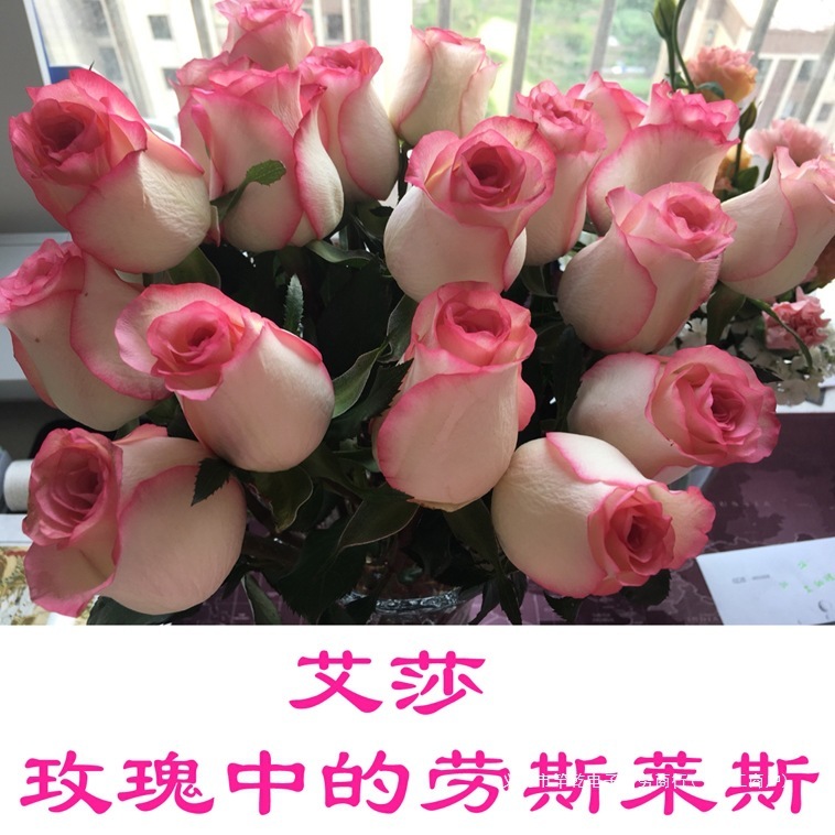 鲜花花束云南昆明基地直发香水百合花速递同城玫瑰520情人节礼物|undefined