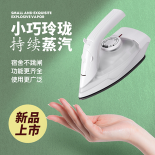 Mini Steam Electric Iron for Home Use, Dual-Purpose for Dry and Wet, Small-Sized Iron, Low-Power Dormitory Student Ironing Machine