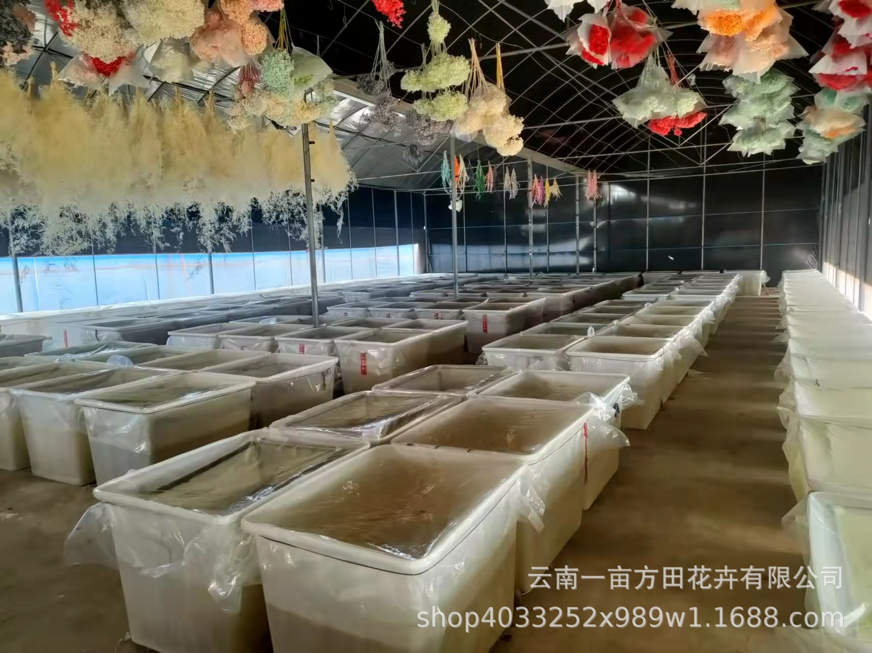 8fd024a3f788cdfefffa116dff7912