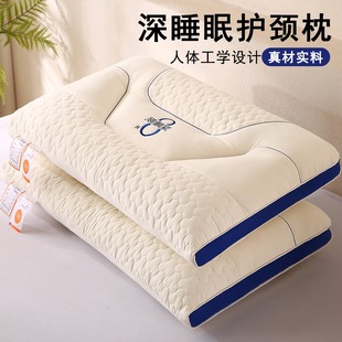 �¿����˯��SPA���^�H�w���w���ÌW�������o�i�����^��о