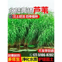 �JȔ�N��ˮ���ݷN���ͺ��������޸����у���ˮ�|�o�¹������ݷN��