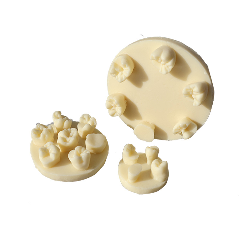 Ejercicios de rellenos de canales radiculares de dientes Inserción de resina Modelo de ejercicio de examen Ejercicios dentales Bloques de resina