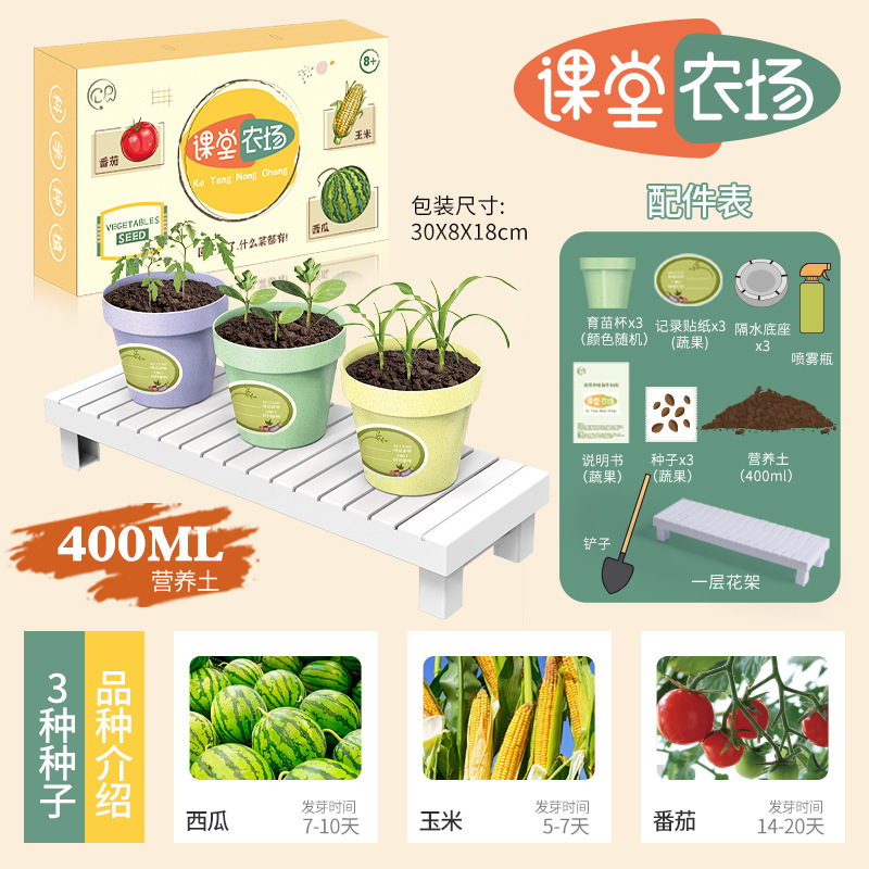 Planta de mesa para niños mini plantas verdes creativas pequeñas plantas de fresa girasol al por mayor