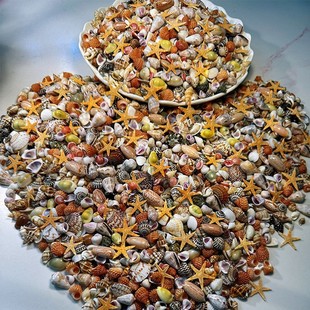 ����ؐ�� �oȾɫ �ɿ�؛��22�N��Сؐ�������ղؘ˱��~��΢ؐ