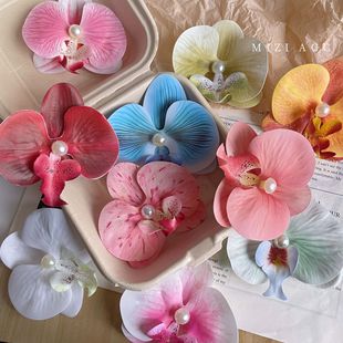 �紺������m�l�A��߅�Շ��Є�����߅�A�n������l��^�Ů���l