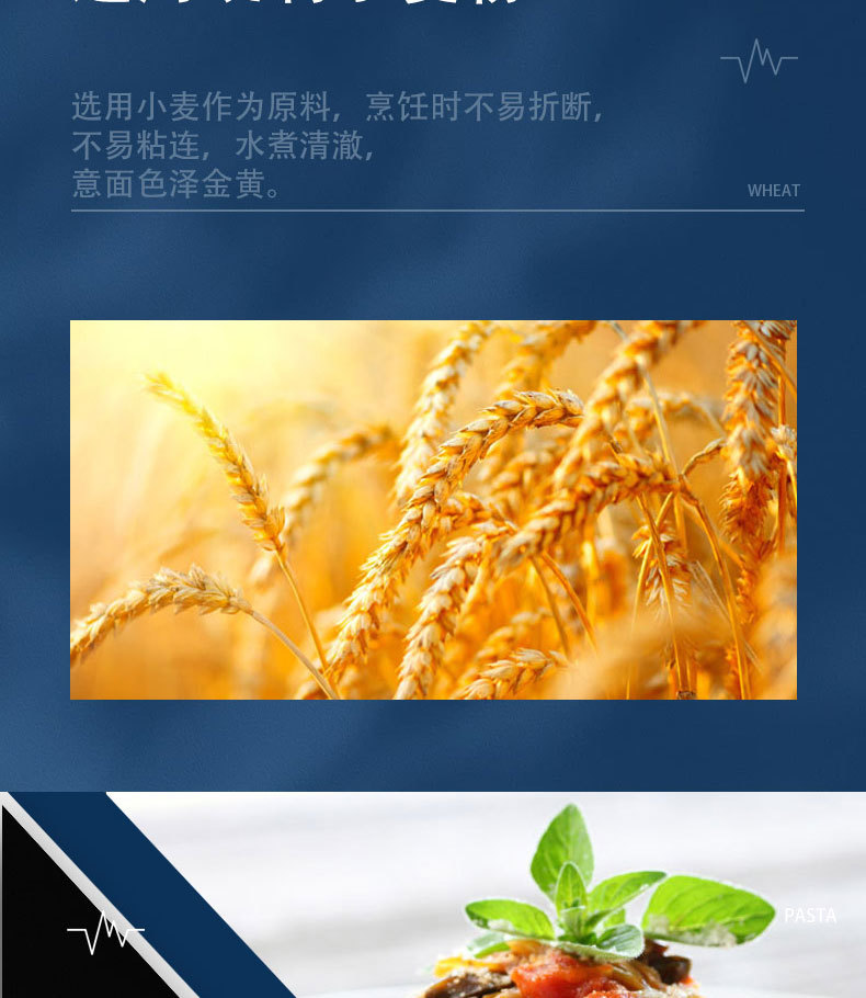 微信图片_20221102134911_05