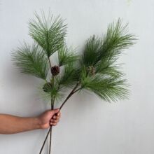 ��֦����������� �ɰ��Rβ�� ��֦�߶˻�ˇ�쾰�b��^ֲ���}�Q