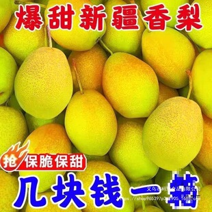 �½��젖���������rˮ������3/5/10�ﱡ���摪���t����������