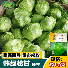 �ͨ�n�G�ɸʸ��{�N�� ˮ�����S���ɴ���ĲˈA�ײ˷N�� �ˈ@�߲�