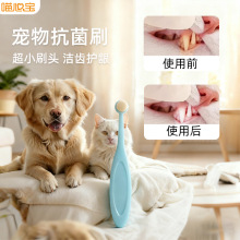 ������ˢ؈��ˢ������ˢ������ǻ���X��Yˢ����ܛë�������ˢ