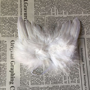 Factory Direct Supply Christmas Tree Hanging Feather Wings Christmas Decorations Christmas Tree Hanging Angel Wings