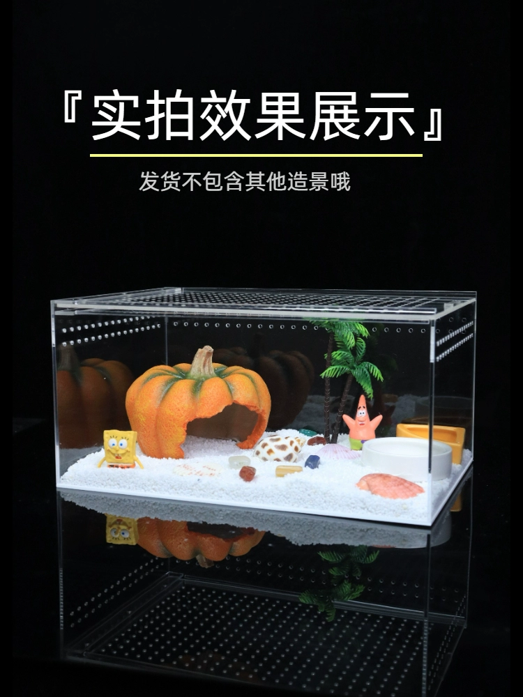 Хуаньцзю крабAvoid house large climbing pet tree holes to avoid ornaments, fish, shrimp, coconut shell horn frog to avoid landscape