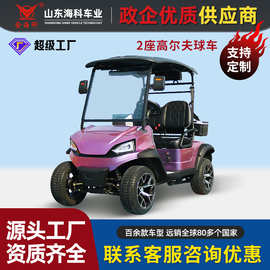 电动高尔夫球车2-8座景区观光车机场酒店接待代步车电动式布草车