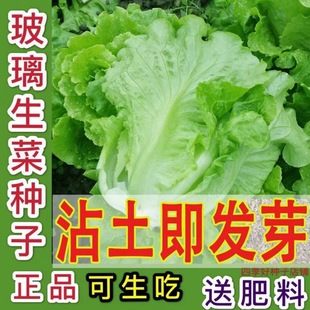 ��I�A��}���ļ���ಣ�����˷N�Ӵ����������˷N�Ѵ����߲˷N��