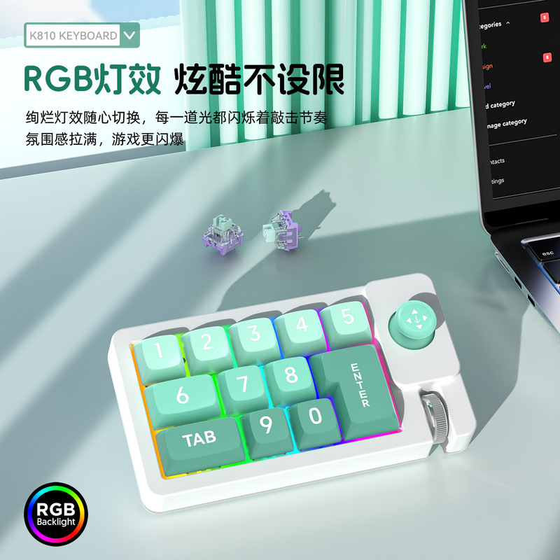 Macro Programming Joystick Macro Definition Rgb Hot-Swappable Wired Mechanical Gaming Keyboard One-Piece Minimum Order Computer Red Switch USB