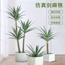 北欧仿真剑麻铁树植物盆栽装饰仿生绿植假树室内橱窗造景家居摆件