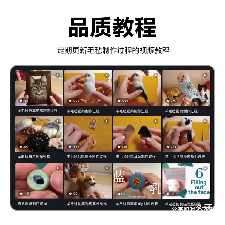 Australian Long-Fiber Mercerized Wool Felting Wool Felt Needle Felting Material Kit for DIY Doll Crafting