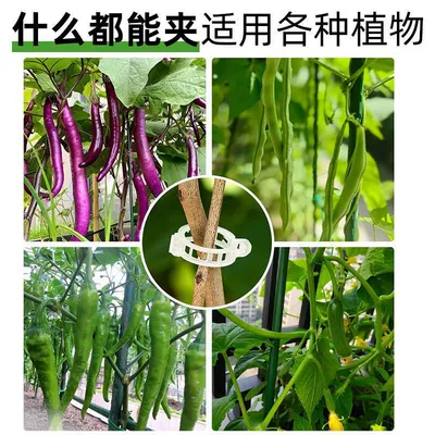Multimediya və saxlama aksesuarları – and vegetable plant fixing devices