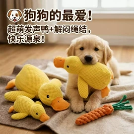 懒人沙发;折叠椅;鞋架