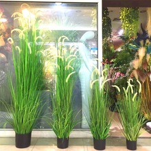 SֲԼٲݷ軨ˇ[ݹβݾƵҾbGֲ