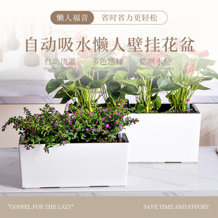 ����ˮ�����̨�Nֲ��ڗU�Ғ�ʽ�ř��o�ڱڒ�젝�����L���λ���