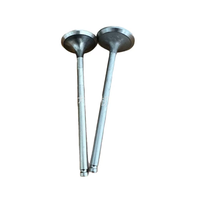 In stock: D1146, Valves and components