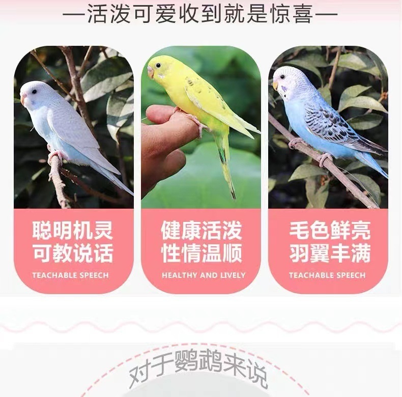 24d3eba8-c82a-4208-ba9f-d8368a03ca2e.jpe