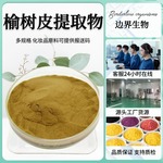 榆树皮提取物 喷雾干燥 水溶性榆树皮提取 榆树皮破壁粉现货1kg起