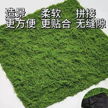 ����̦�\�Gɫ ֲ�q΢���^�쾰�b���̦�쾰�辰 ë����̦�\��Ƥ