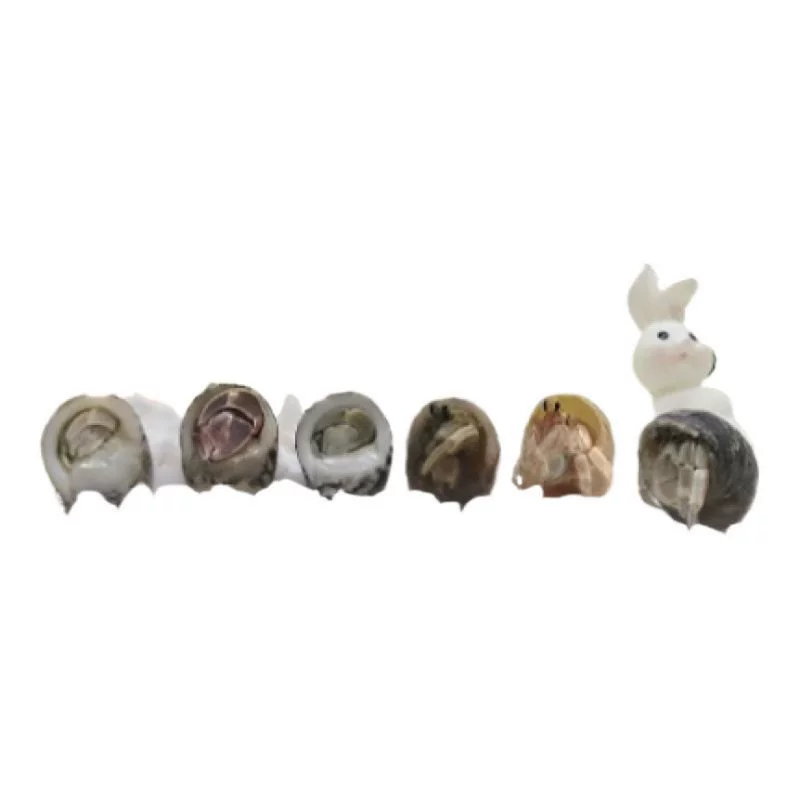 Набор для содержания питомца рыжего отшельника Douding, мини-питомец-отшельник, детский настольный питомец, прочее