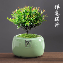 ������{�Gֲ�����մɸ��ּ����҃�͸���Ϙ��Gֲ����A������[��