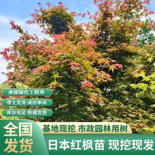 �ձ��t�������Ї��t�����輧�ͺ������t��������ͥԺ��G���L����