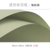 09 Mini First Love-Sea Pine Green;50*50cm
