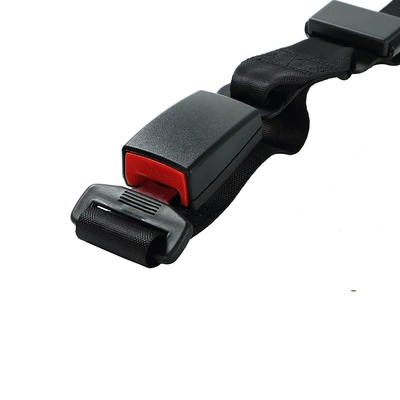 Car seat old pregnant Car seat belt