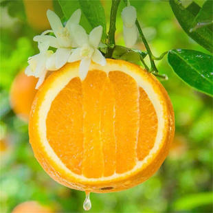 �������w����Ě�ȴ������r��ȬFժ�F�l���M�ϳ�������Ӱ��]