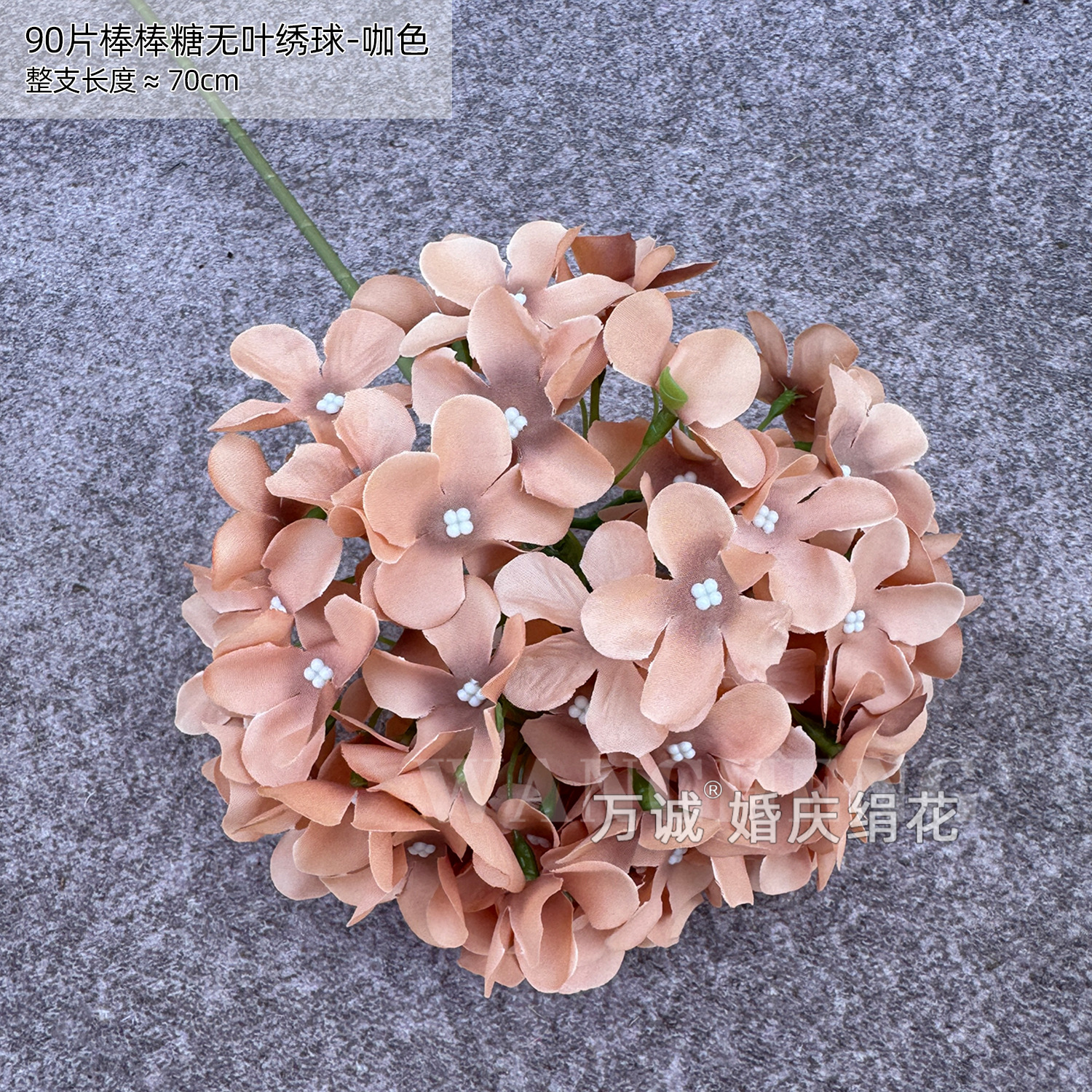 브라운 90피스 롤리팝 수국(잎 없음)