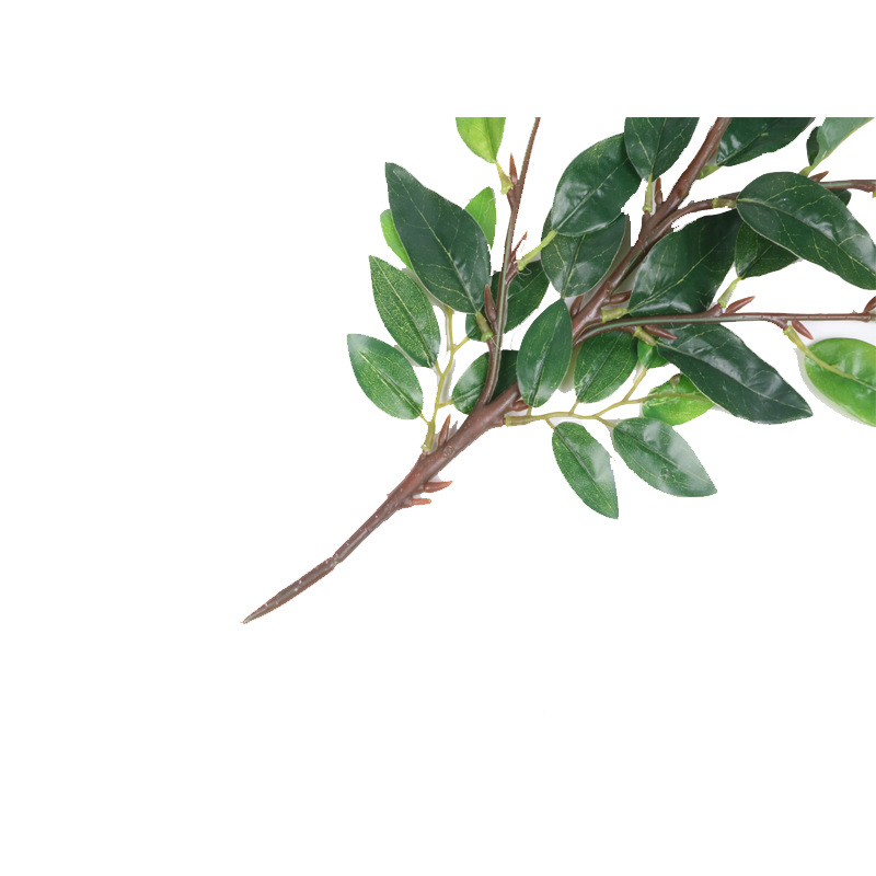 XRB-063 沉香四叉枝4