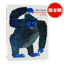 原版英语绘本from head to toe从头到脚英文纸板书 幼儿童早教启